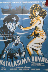 爱琳娜·帕翠斯库剧照