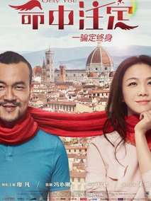 命中注定,介绍海报