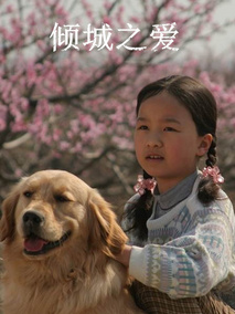 倾城之爱,介绍海报