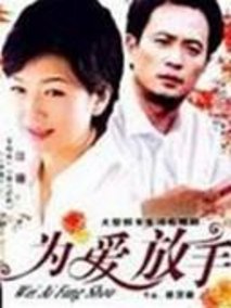 错爱2,介绍海报