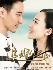 追婚记,介绍海报