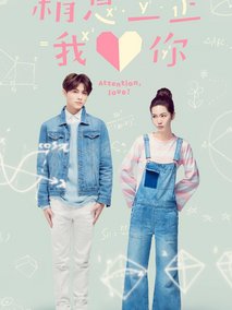 稍息立正我爱你,介绍海报