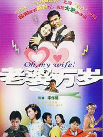 老婆万岁,介绍海报