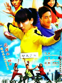 我的功夫女友,介绍海报