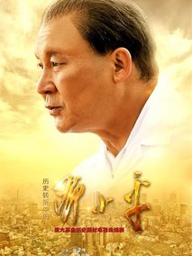 历史转折中的邓小平,介绍海报
