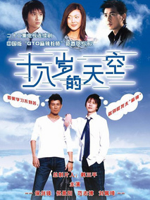 十八岁的天空,介绍海报